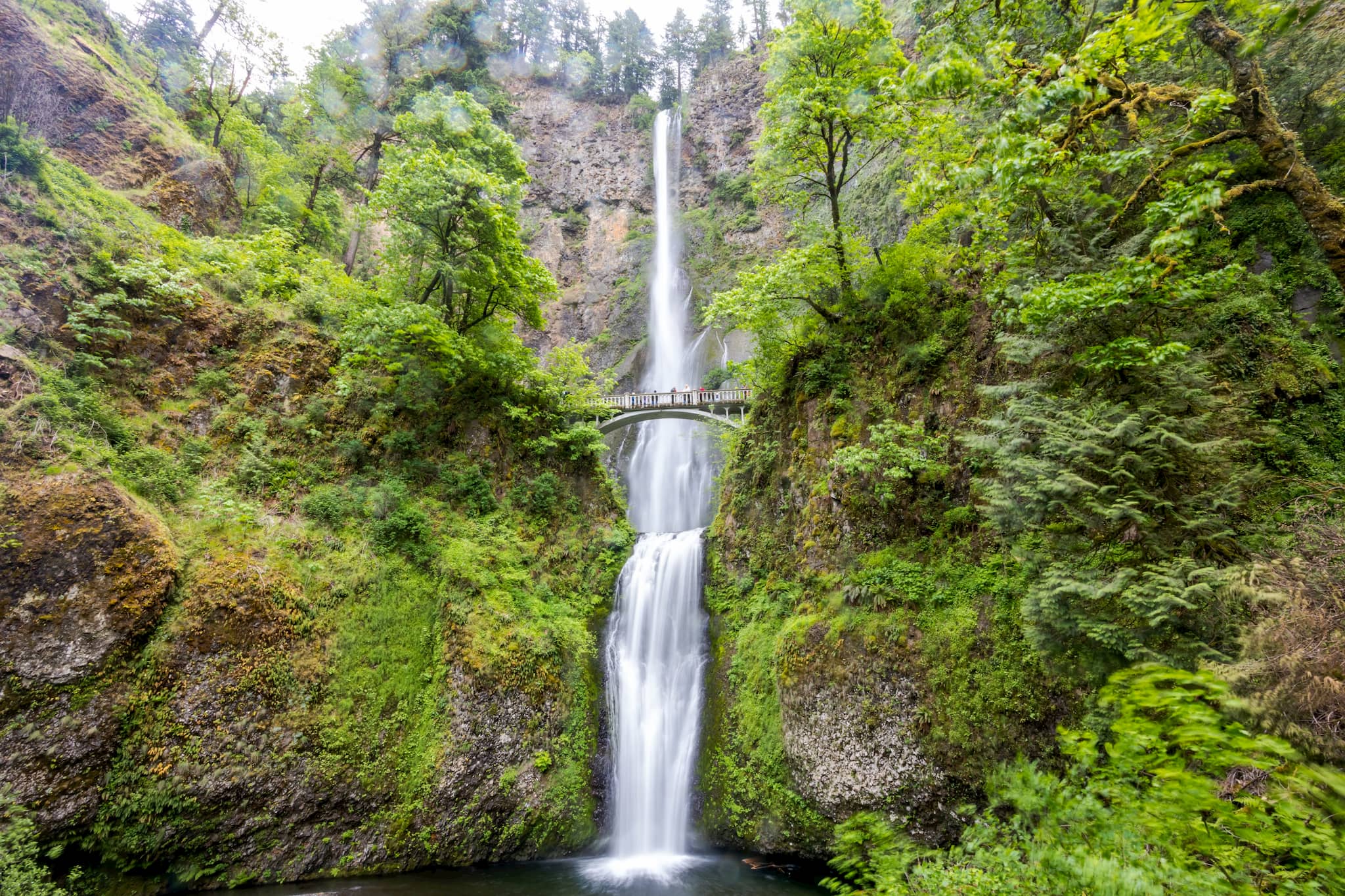 Multnomah Falls in the Gorge - Photo by Zoomdak